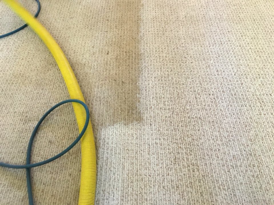 Yes, The Old Carpet Needed Cleaning