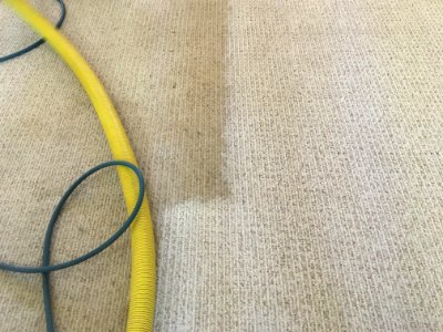 Yes, The Old Carpet Needed Cleaning photo
