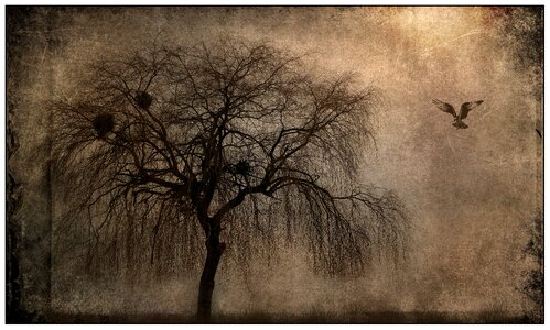 Tree bird lighting