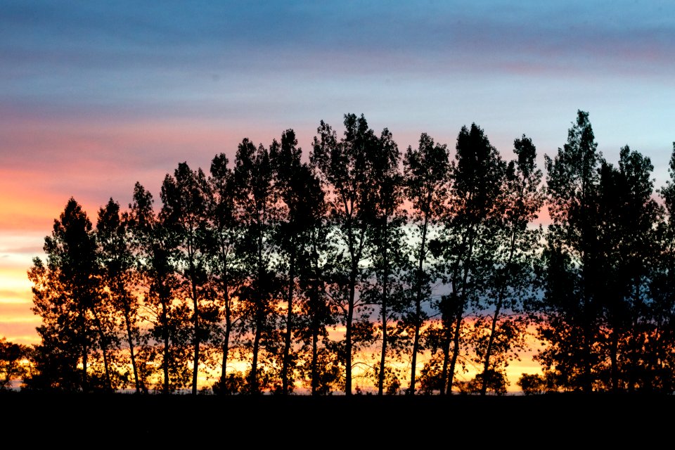 The Sunset Show Just Goes On