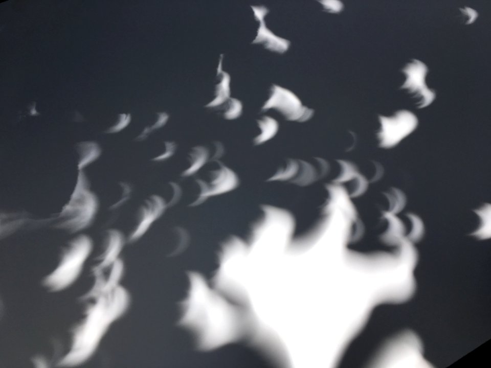Spray of Eclipse Shadows