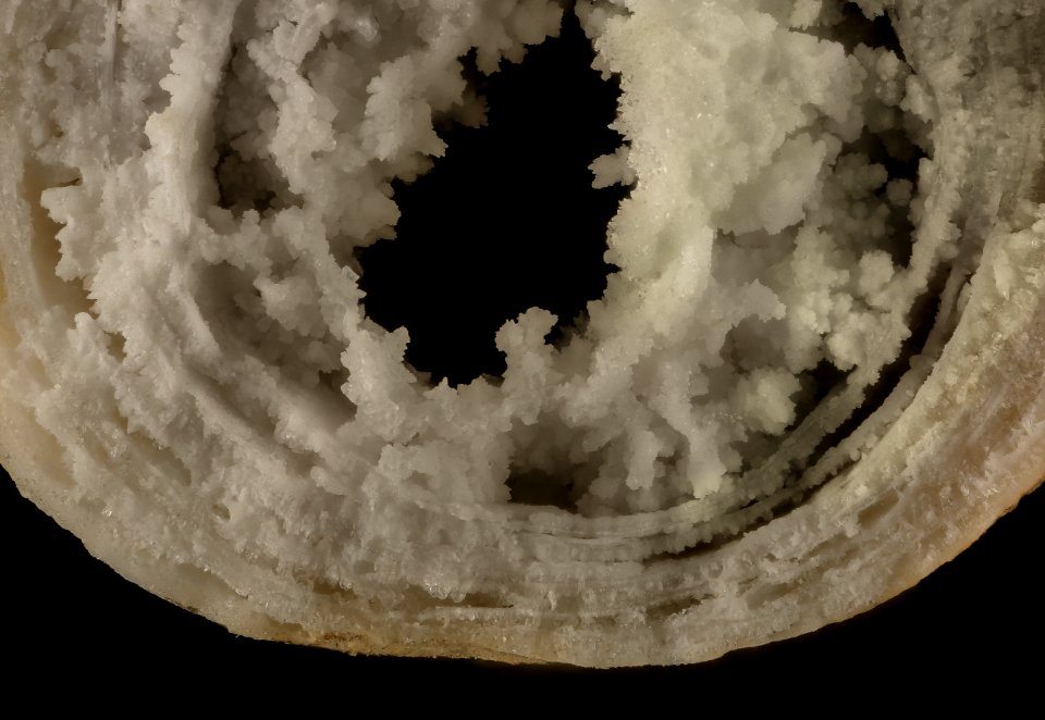 Stalactites Stalagmites, End, VT, Jefferson Memorial 2015-08-07-12.12.07 ZS PMax UDR