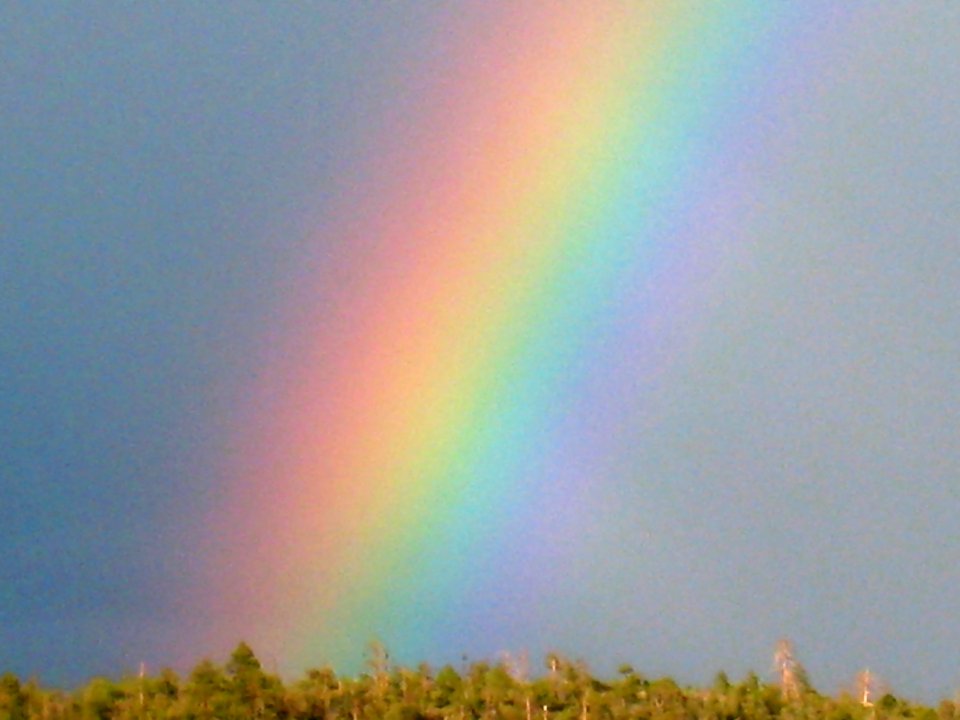 Natural Colors