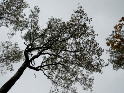 170927-FS-Superior-SAR-sky silhouette