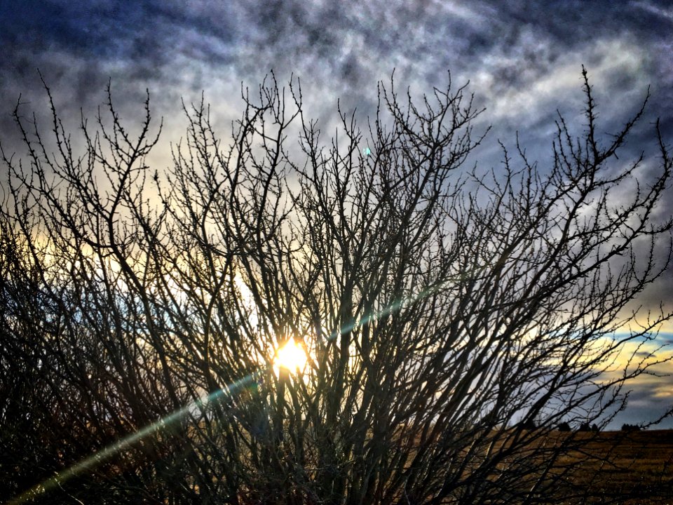 Dialed in to the Light