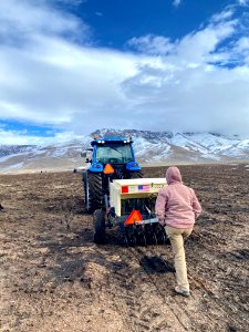 Planting native seed after a large wildfire in northern Nevada photo