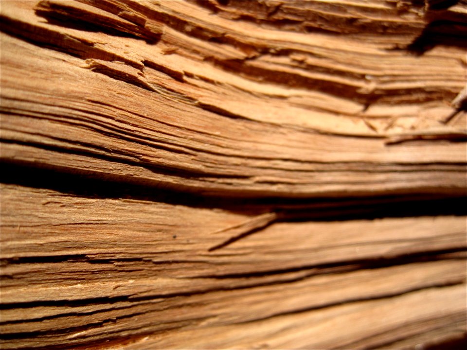 Depth of Field