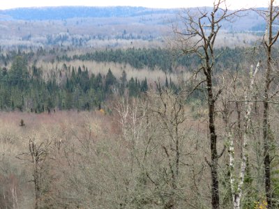 20191023-FS-Superior-SAR-013