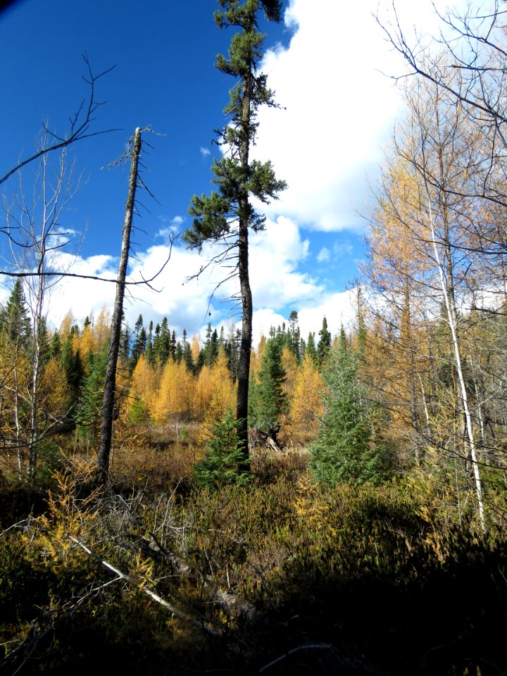 20201013-FS-Superior-SAR-016