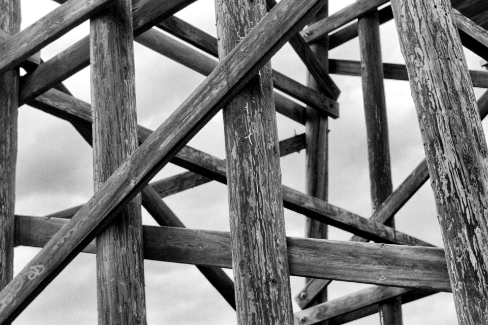 2014/365/303 With These Timbers I Support...