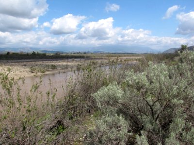 The Santa Clara River after rain in 2018. photo