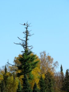 20191008-FS-Superior-SAR-022