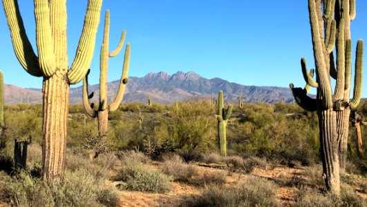Four Peaks Through the Goalposts