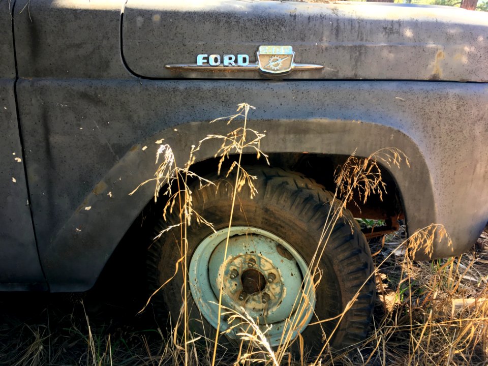Old Ford in the Weeds
