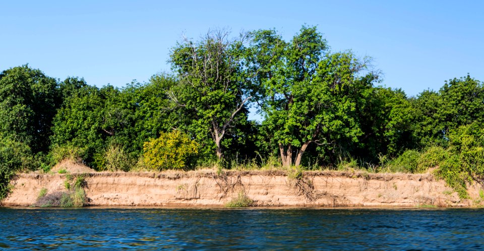 4Y1A0862 Zambia