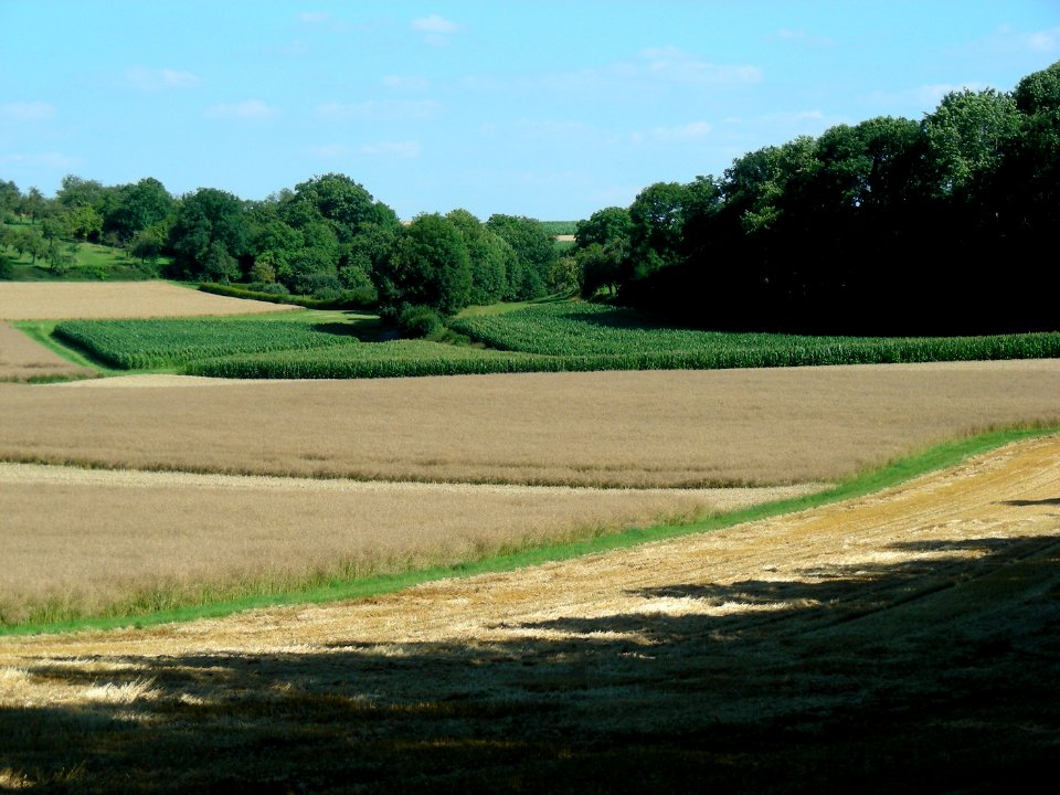 Sommer 2008