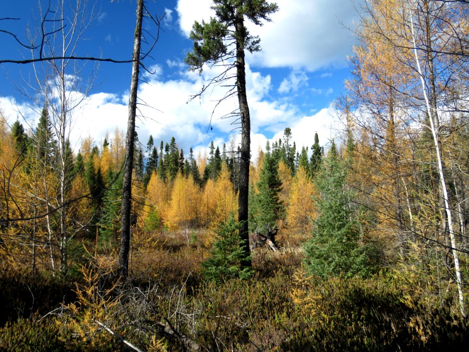 20201013-FS-Superior-SAR-015