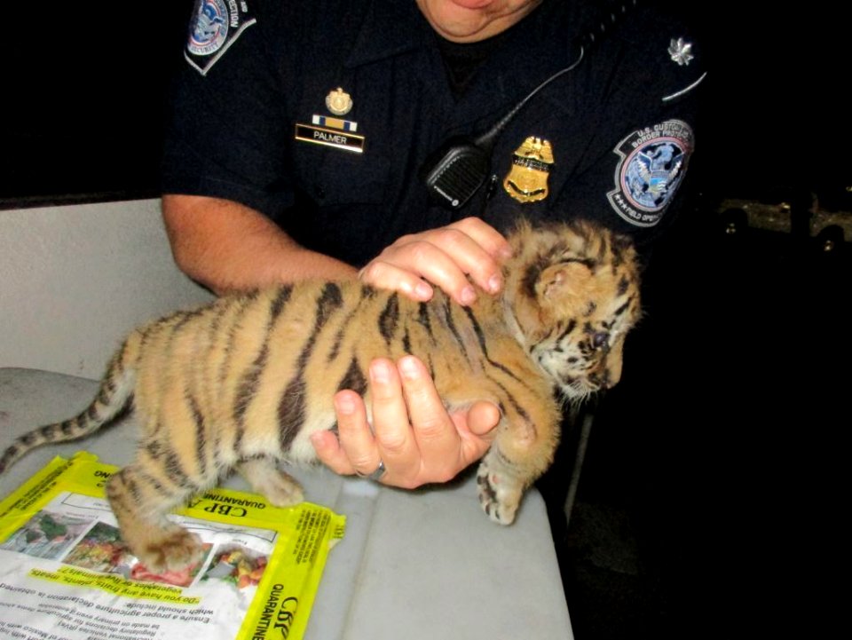 Moka rescued at the border by Customs & Border Patrol agents