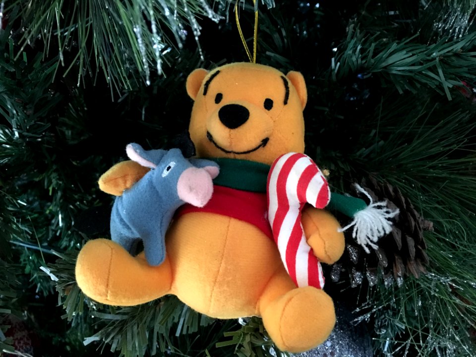 Sr. Pooh Saliendo con su Amigo Eeyore
