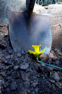 GraveDigger Shovels. So Good You'll Want to Dig Your Own
