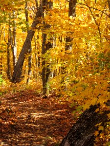 171010-FS-Superior-SAR-obergmttrailportrait photo