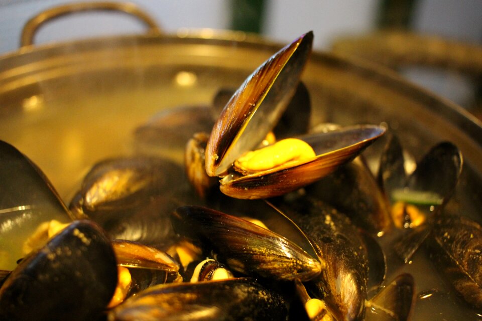 Snacks mussels joe countries