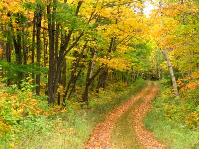 170927-FS-Superior-SAR-narrow road to right
