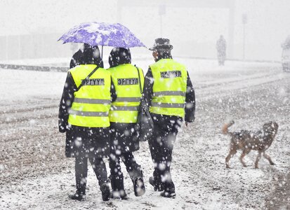 Dog cold heavy snow photo