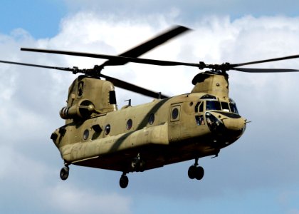 12th CAB CH-47 flyby at CALFX