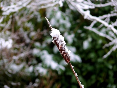 Cold freezing ice