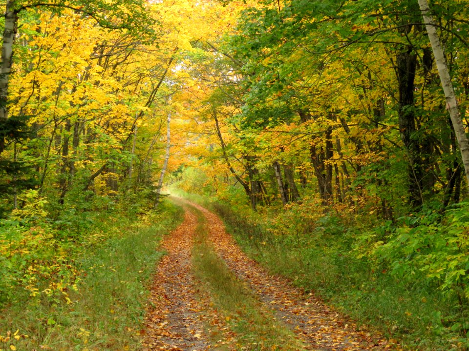 170927-FS-Superior-SAR-narrow road to left