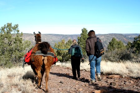 Hiking Along