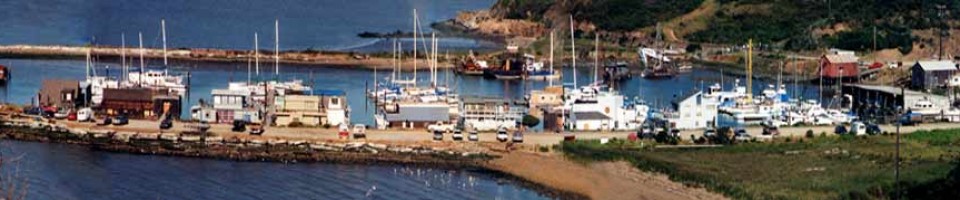 cropped-PANORAMIC-HARBOR-HDR2