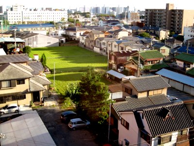 Campus Rice Paddy