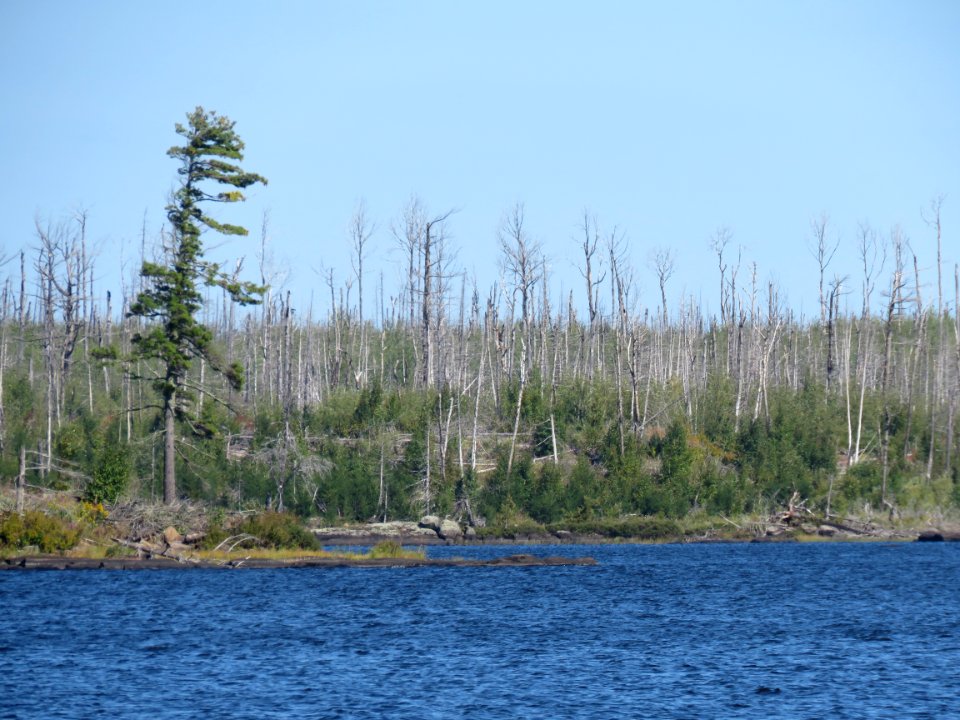 20200910-FS-Superior-SAR-012
