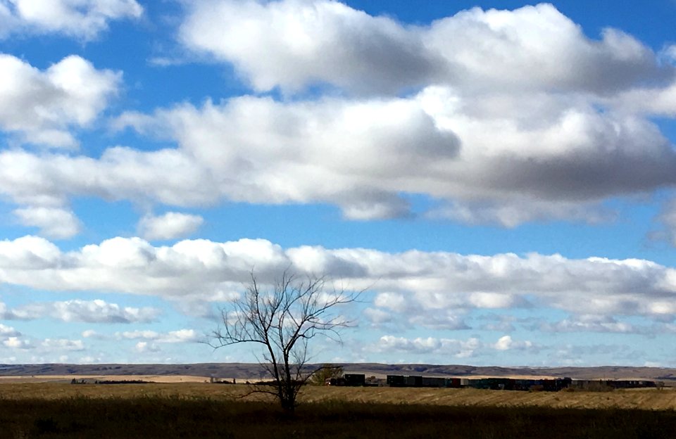 Train and Sky Watching