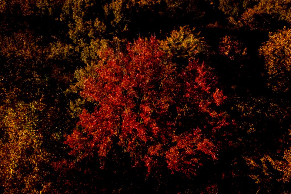 20181103-OC-LSC-0025