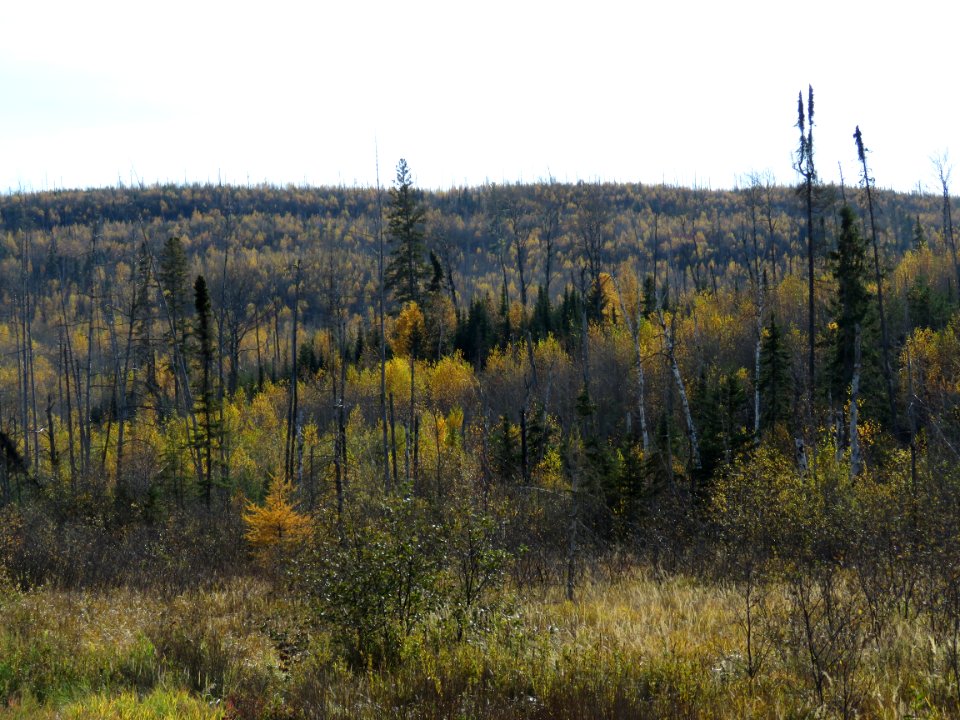 171017-FS-Superior-SAR-fallhamlakefirearea3