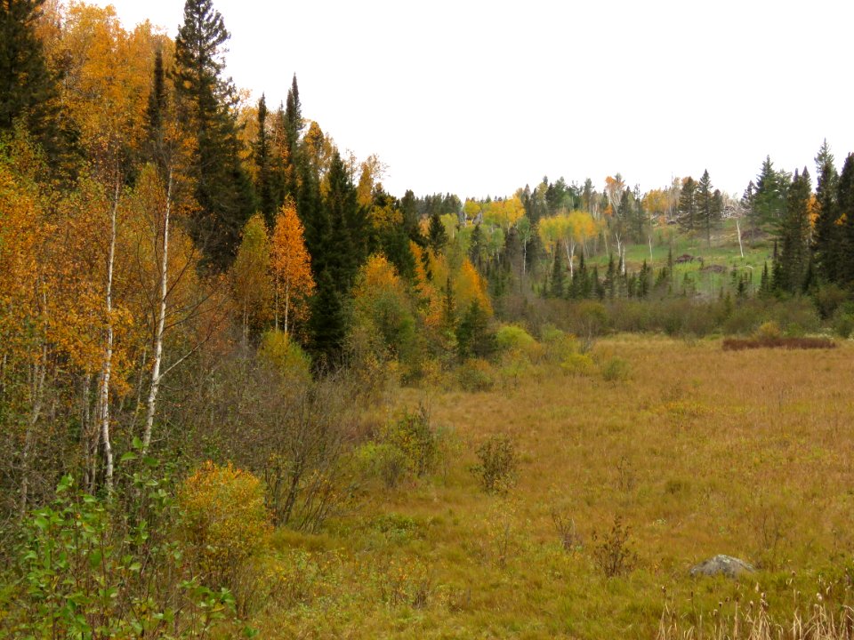 20200929-FS-Superior-SAR-001