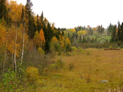 20200929-FS-Superior-SAR-001
