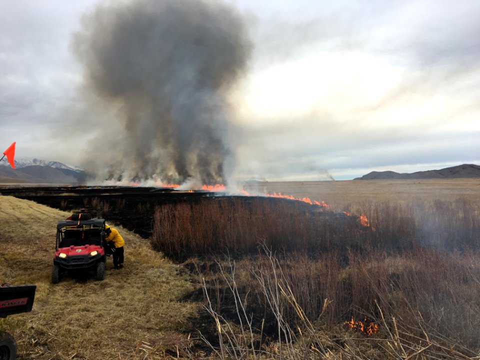 Prescribed burn and atv