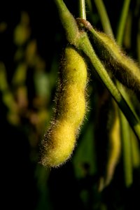 20190919-NRCS-LSC-0384