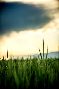 20180522-KS-Reclamation-0137