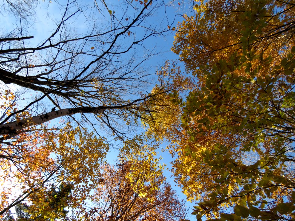 20191008-FS-Superior-SAR-011