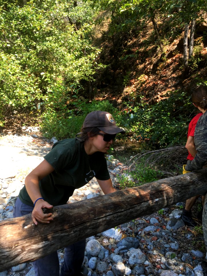 Serena Doose, Yreka FWO fisheries biologist holds log