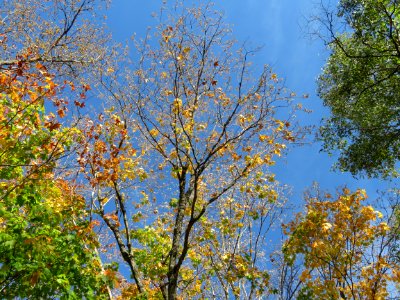 20190924-FS-Superior-SAR-008