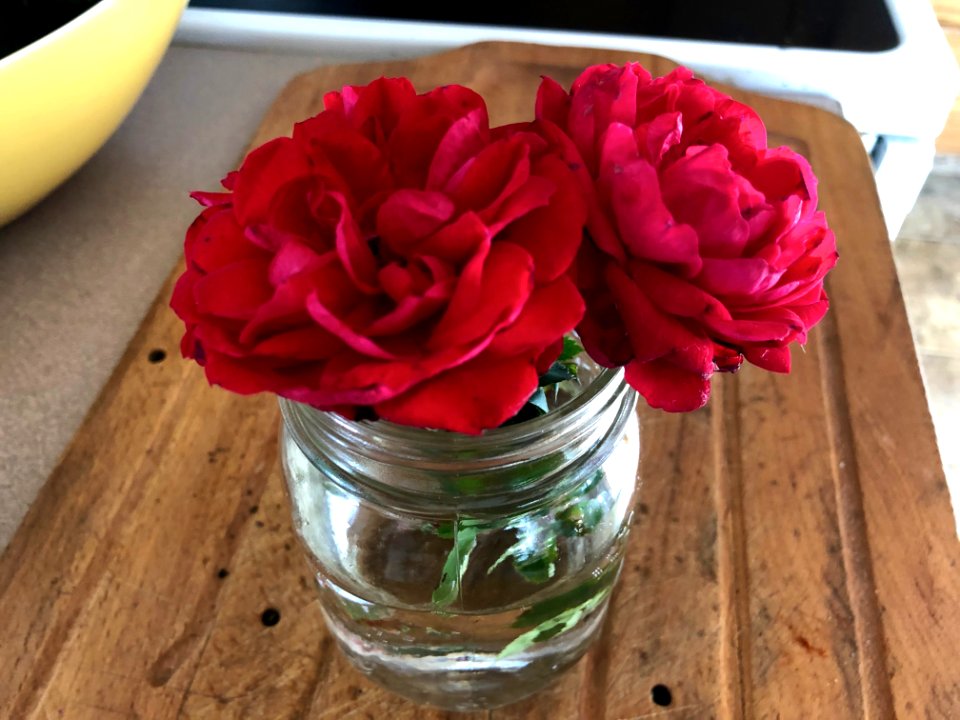 Lovingly Last Pair of Roses