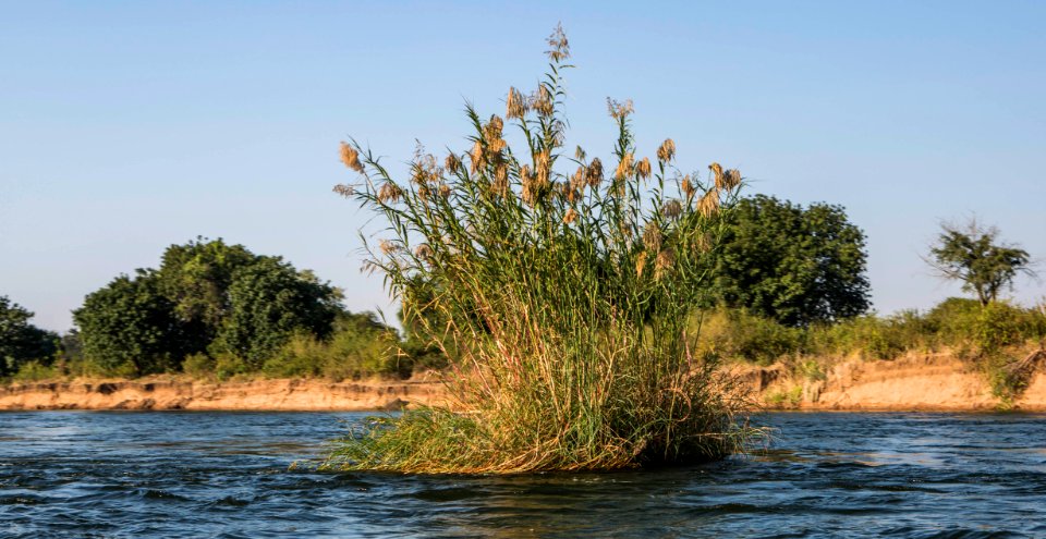 Zambezi River, Zambia photo