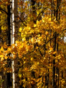 20191008-FS-Superior-SAR-006