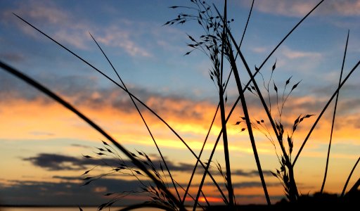 Weaving the Light